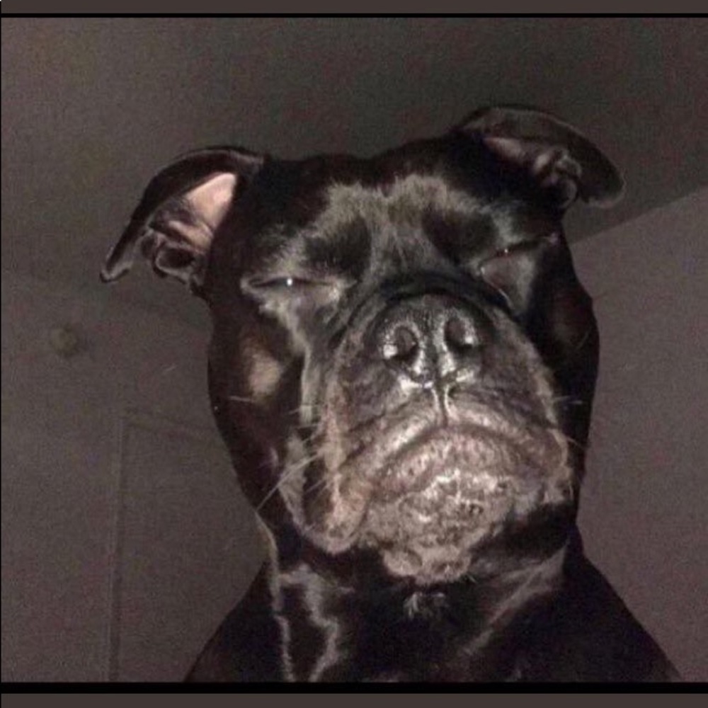 Meet your Posher, Ben